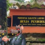 Diduga Proyek – Proyek yang ada didisdik Lampung Selatan di kondisikan orang dekat bupati Berinisial BQ